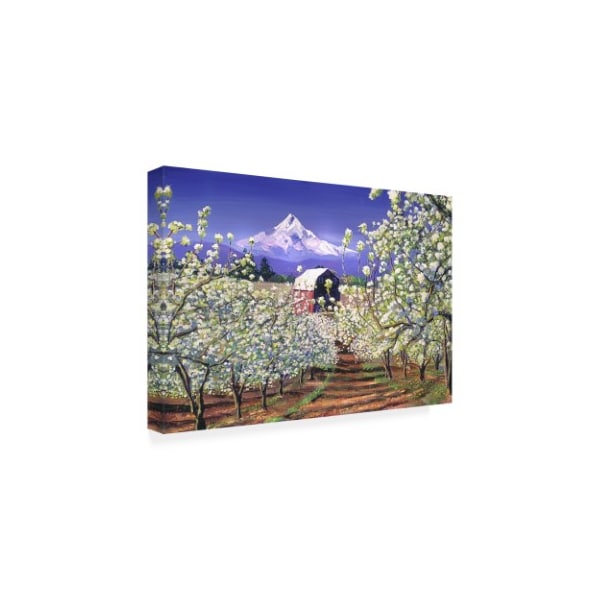 David Lloyd Glover 'Apple Blossom Time' Canvas Art,16x24